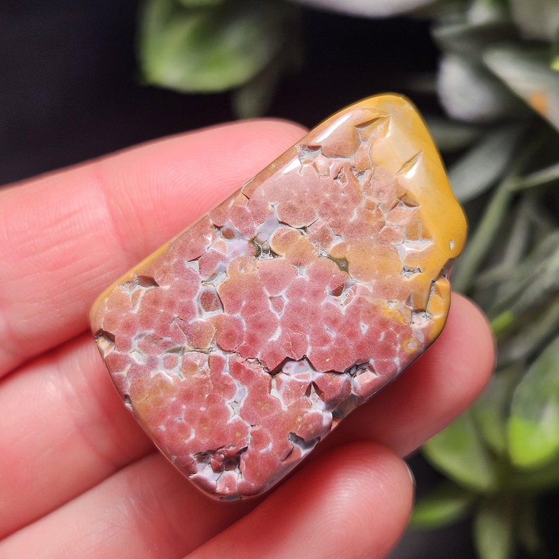 May include: A rectangular, polished stone with a unique pattern. The stone features a mix of colors, including red, yellow, and white. The surface has a textured appearance with a network of small, circular patterns. The stone is held in a hand.