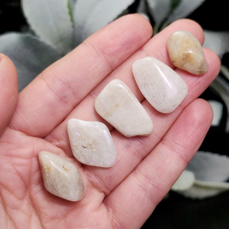 Puede incluir: Una mano sostiene cinco piedras lunares pulidas. Las piedras, de formas y tama&ntilde;os variados, son de color blanco cremoso y amarillo p&aacute;lido. Las piedras lisas son ligeramente transl&uacute;cidas.