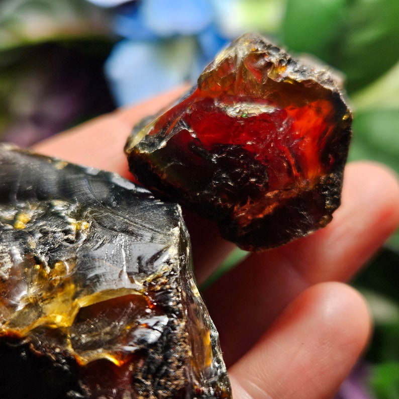 May include: Two pieces of amber, one is a dark, almost black, amber with a golden hue, the other is a red amber with a dark brown exterior.