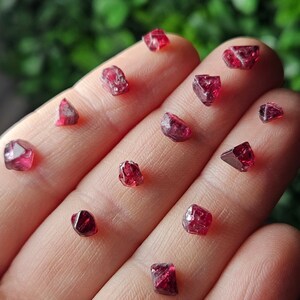 May include: A collection of red spinel crystals, also known as red corundum, displayed on a hand. The crystals are various sizes and shapes, with some having a more rounded shape and others having a more pointed shape.