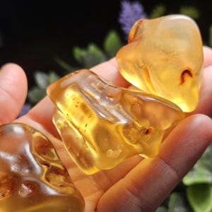 May include: Three polished pieces of translucent golden-yellow amber. Each stone features a smooth, organic, rounded shape with visible internal inclusions, natural textures, and varying shades of honey and light orange throughout the surfaces.