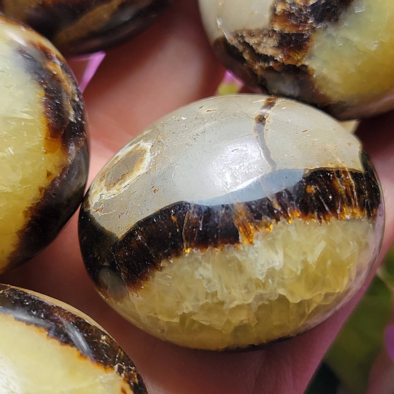 May include: A polished, rounded stone featuring a smooth, light beige top section separated by a dark brown, crystalline band from a translucent, golden-yellow base. The surface exhibits natural mineral inclusions and a glossy, reflective finish.