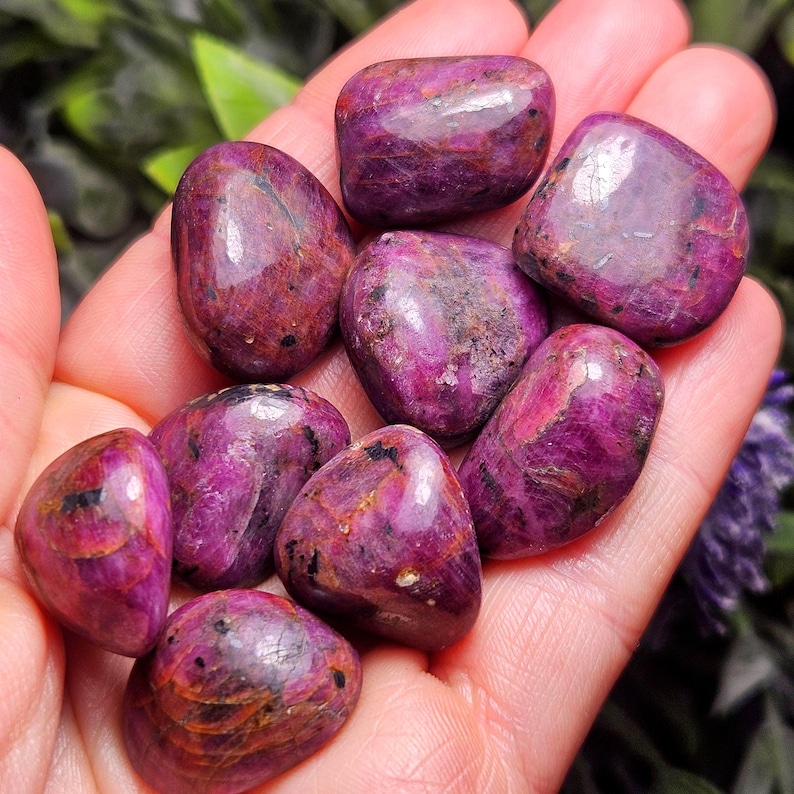 May include: A collection of polished, deep red-purple gemstones, likely rubies, held in a hand. The stones have a smooth, rounded shape and exhibit variations in color and texture, with some showing darker inclusions.