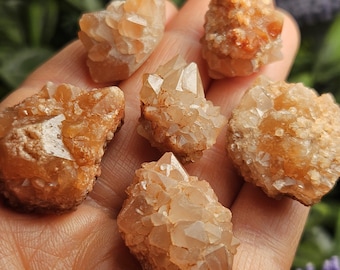 May include: Six raw quartz crystal clusters in shades of orange and tan. The crystals have a rough, natural texture and varying sizes, with some displaying prominent, pointed terminations. The crystals are held in a hand.