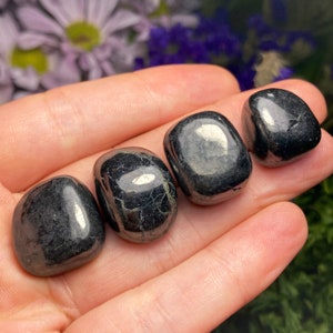 Cristallo di shungite lucidato: pietra purificante ricca di carbonio