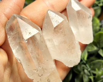 Peut inclure: Trois pointes de cristal de quartz clair aux bords naturels et rugueux. Les cristaux sont tenus dans une main, mettant en valeur leur qualité translucide et leurs formations naturelles. Les cristaux varient en taille et en forme.