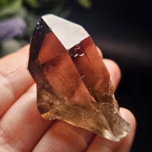 Puede incluir: Un cristal de cuarzo ahumado facetado y transl&uacute;cido, de color marr&oacute;n claro a &aacute;mbar. El cristal tiene una punta blanca y una textura natural rugosa. El cristal se sostiene en una mano, con un fondo oscuro.