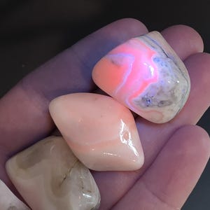 May include: Three polished, smooth, tumbled stones with rounded edges. One stone displays a vibrant, glowing neon pink fluorescent reaction, while the others are pale peach and off-white with subtle, swirling banded patterns and a glossy finish.