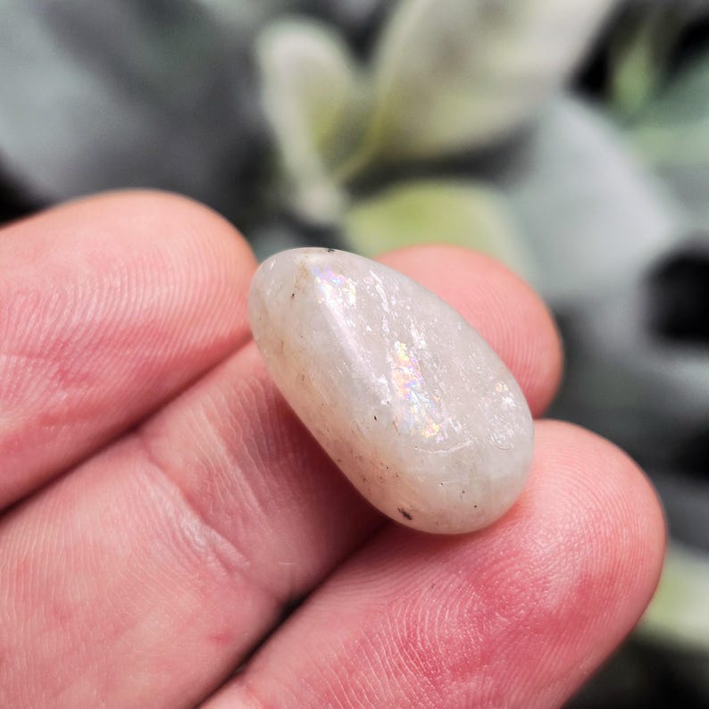 Puede incluir: Una piedra lunar pulida, de forma ovalada. La piedra es de color blanco cremoso con destellos iridiscentes de colores del arco&iacute;ris. La gema se sostiene en una mano, con un fondo borroso verde y gris.