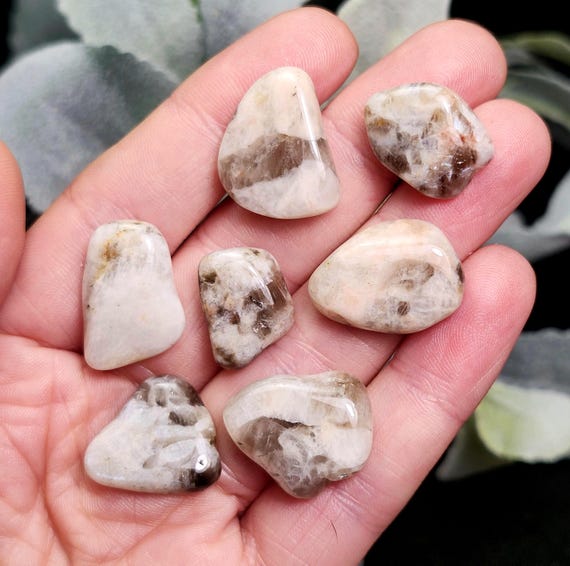 Belomorite Smoky Moonstone Crystal - Tumbled Moonstone & Smoky Quartz - Polished Moonstone Specimen