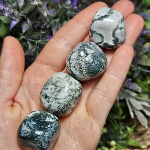 May include: Four polished moss agate stones with smooth, rounded surfaces. Each stone features a unique pattern of deep forest green inclusions set against a translucent, milky white and grey base, creating a natural, organic appearance.