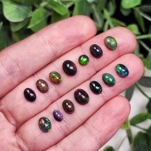 May include: A collection of oval-shaped opals in various colors, including black, green, brown, and purple. The opals are displayed on a hand, showcasing their iridescent qualities. The gemstones vary in size and exhibit a play of color.