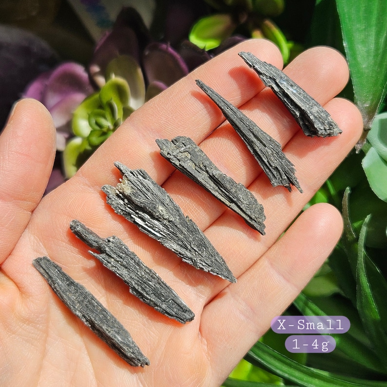May include: Six small, black, pointed, and shiny crystals, known as Black Tourmaline, are arranged on a hand. The crystals are approximately 1 to 4 grams each. The text "X-Small 1-4g" is visible in the image.