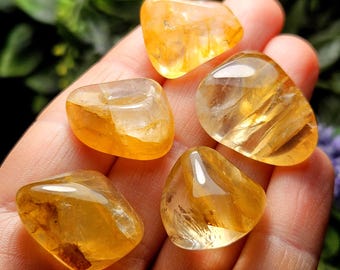 Golden Healer Quartz Crystal, Choose Your Quantity - Yellow Hematoid Quartz from Madagascar, Gold Healer Crystal