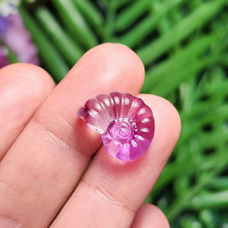 Peut inclure: Petite sculpture en forme de coquillage, translucide, rose et violet. La coquille en spirale est tenue dans une main, avec un fond vert et violet. La coquille est sculpt&eacute;e avec des ar&ecirc;tes d&eacute;taill&eacute;es et un centre tourbillonnant.