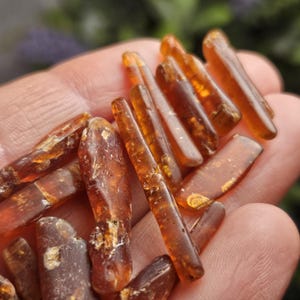 May include: A collection of raw amber pieces, showcasing a range of shapes and sizes. The amber has a warm, translucent, golden-brown hue, with some pieces exhibiting a slightly darker, more opaque appearance. The pieces are held in a hand, with a blurred green background.