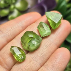 May include: Four raw, faceted peridot gemstones in varying sizes and shapes. The crystals are a vibrant, translucent green color, with visible facets and natural textures. The gemstones are displayed on a light-toned surface.