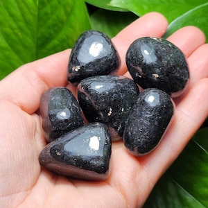 Nuummite Crystal - Coppernite Crystal - Coppernite Stone - Coppernite Palm Stone - Nuummite Stone - Indian Nuummite - Tumbled Nuummite