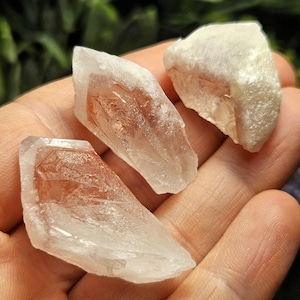 Dreamsicle lemurian - Etsy 日本
