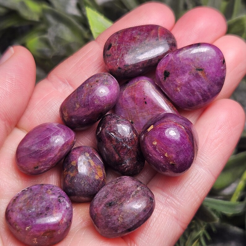 May include: A collection of polished, oval-shaped gemstones in varying shades of deep purple and burgundy. The stones are smooth and reflect light, with visible natural patterns. The gemstones are held in a hand, with green foliage in the background.