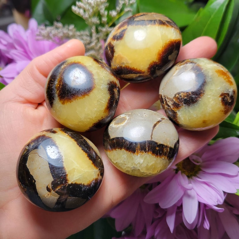 May include: Five polished, round stones with a smooth, glossy finish. Each stone features a creamy yellow base color with distinct, dark brown to black organic-looking bands and patches that create a unique, marbled pattern across the surface.