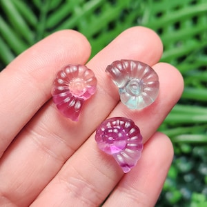 Peut inclure: Trois petits fossiles d'ammonites en pierres pr&eacute;cieuses sculpt&eacute;es, dans des tons de rose, de violet et de transparent. Les fossiles sont tenus dans une main, avec un fond vert feuillu. Chaque fossile a un motif en spirale.