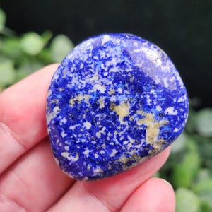 May include: A polished, oval-shaped lapis lazuli stone. The stone is a deep blue color with white and gold flecks throughout. The stone is held in a hand, with a blurred green background.