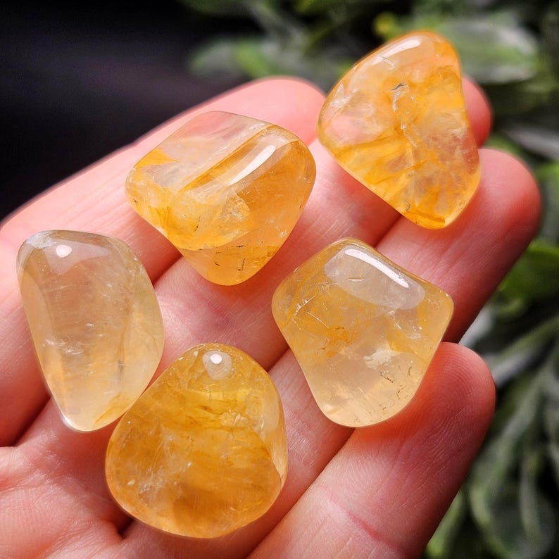 May include: Five polished, translucent golden-yellow citrine stones with smooth, rounded edges and internal crystalline structures. The stones exhibit varying shades of amber and honey, reflecting light across their glossy, irregular surfaces.
