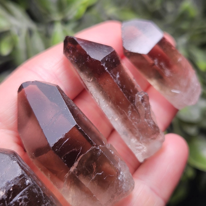 Puede incluir: Primer plano de varias puntas de cristal de cuarzo ahumado. Los cristales son de color marr&oacute;n transl&uacute;cido con puntas facetadas. Los cristales se sostienen en una mano, con un fondo verde borroso.