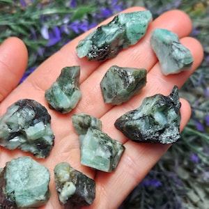 May include: A collection of raw emerald crystals with a dark green color and black inclusions. The crystals are rough and have a natural, unpolished appearance.