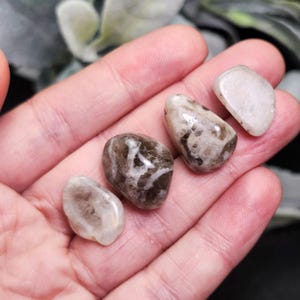 May include: Four polished stones in varying sizes and shapes, held in an open hand. The stones display a mix of brown, white, and translucent hues, with unique patterns and textures. The stones are smooth and appear to be tumbled.
