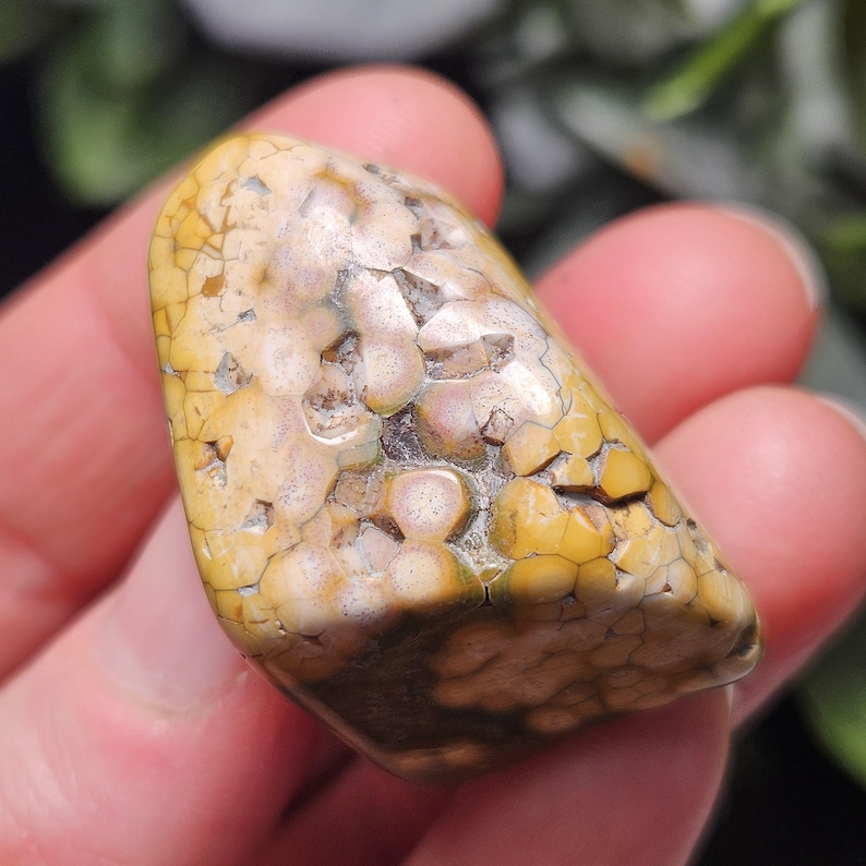 May include: A polished, natural stone with a unique pattern. The stone features a mix of yellow, tan, and brown colors with a cracked, textured surface. The stone is held in a hand, showcasing its size and shape.