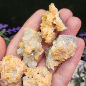 May include: A collection of raw, natural mineral specimens. The crystals feature a mix of pale yellow, orange, and clear quartz-like formations. Some pieces have a dark gray matrix. The minerals are displayed against a soft background.