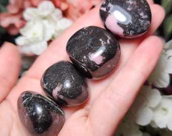 Garnet Furniture Vans Realm Backpack White California Floral