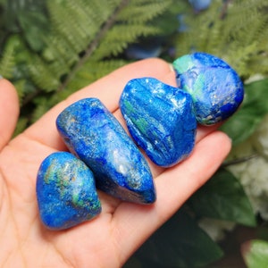 May include: Four polished azurite stones in varying shapes and sizes are held in a hand. The stones display a deep blue color with streaks of green and a slightly rough texture. The background features green foliage.