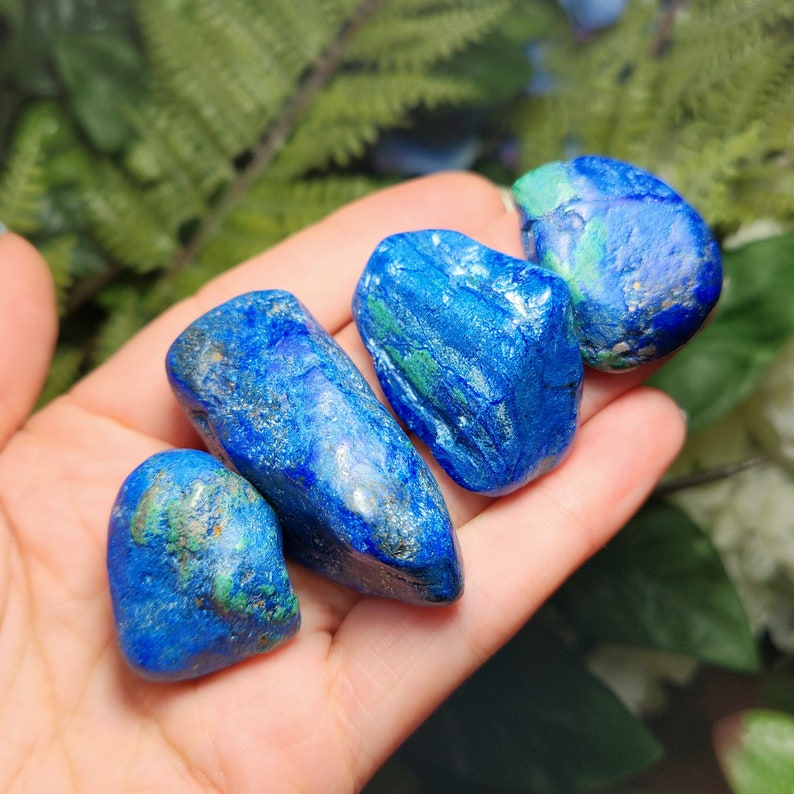 May include: Four polished azurite stones in varying shapes and sizes are held in a hand. The stones display a deep blue color with streaks of green and a slightly rough texture. The background features green foliage.