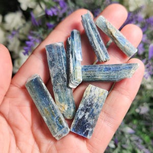 May include: A collection of blue kyanite crystal points. The crystals are long and slender, with a striated surface. They are a beautiful shade of blue, with some hints of green and yellow.