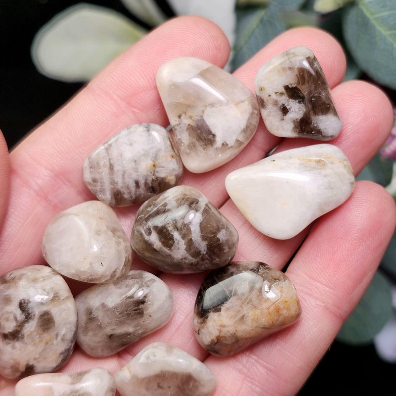 May include: A collection of tumbled stones in shades of cream, brown, and tan. The stones are smooth and polished, with varying patterns and textures. The image shows the stones held in a hand, with a soft focus background.