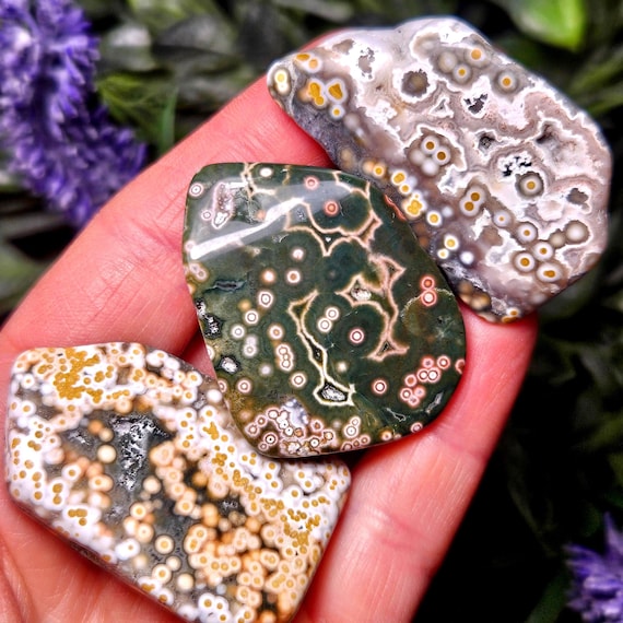 Orbicular Ocean Jasper Palm Stone, (1.25-2") - Polished Fossilized Coral Specimen, Tumbled Ocean Jasper Crystal