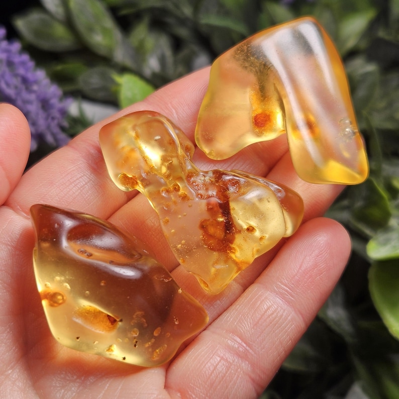 Amber Crystal Specimen, Choose Your Size - Polished Colombian Young Amber, Copal Fossil image 14