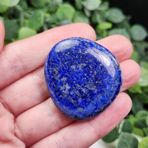 May include: A polished, oval-shaped lapis lazuli stone. The deep blue stone has flecks of gold and a smooth, glossy surface. The stone is held in a hand, with green foliage in the background.