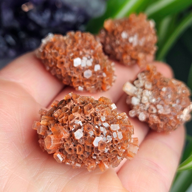 May include: Four small, brown, crystal clusters with a white, sparkly appearance. The clusters are arranged on a hand.