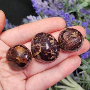 May include: Three polished, oval-shaped gemstones in varying shades of deep red-brown with golden-colored veining. The stones are held in a hand, with a blurred background of purple flowers.