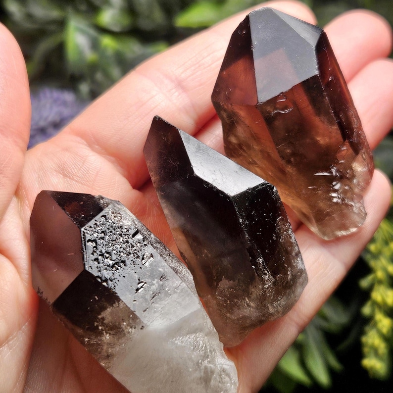 Puede incluir: Tres puntas de cristal de cuarzo ahumado con secciones marr&oacute;n oscuro y claras. Los cristales tienen una forma facetada y puntiaguda y se sostienen en una mano. Los cristales son un producto natural y terroso.