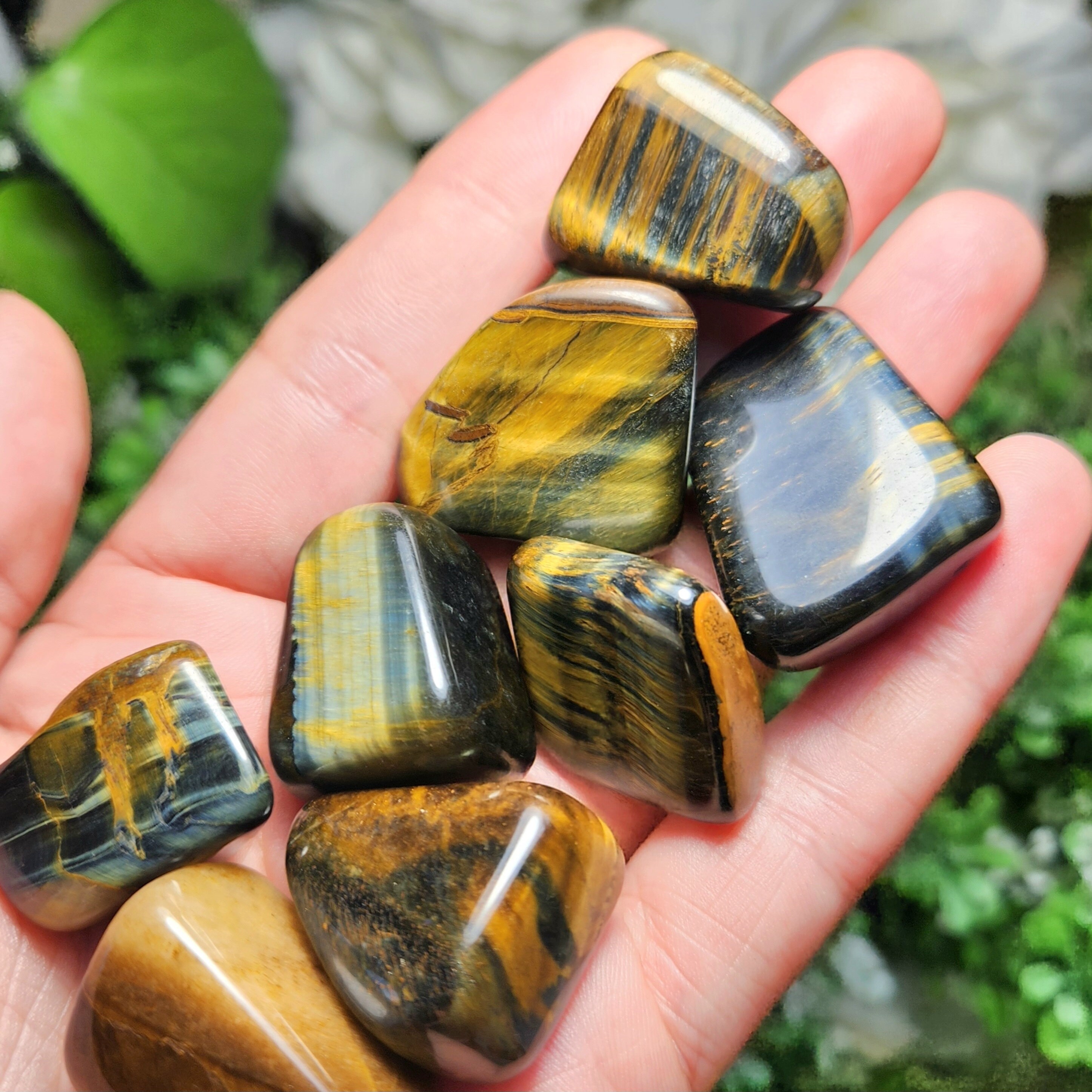 Large Tigers Eye Tumbles - Golden , Red or Blue Available Large Tigers Eye Tumbles - Golden , Red or Blue Available