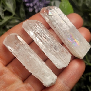 May include: Three clear, elongated crystals with a slightly opaque appearance. The crystals have a faceted, geometric shape and a subtle, iridescent sheen in places. The crystals are held in a hand, with a blurred background of greenery.