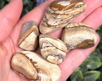 Picture Jasper Stone - Utah Jasper - Scenic Jasper - Jasper Tumbled - Jasper Crystal - Jasper Stone - Picture Jasper - Landscape Jasper