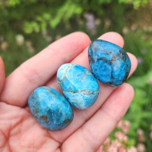 May include: Three polished, oval-shaped blue gemstones with varying shades of turquoise and darker blue veining. The stones are held in a hand, with a blurred green background.