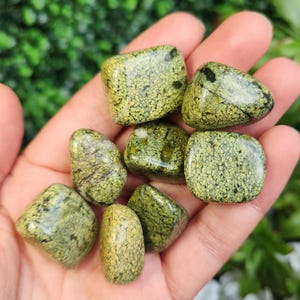 Asterite Serpentine - Serpentine Stone - Serpentine Tumbled - Serpentine Crystal - Green Serpentine - Serpentine Specimen - Asterite Tumble