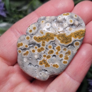 Puede incluir: Una piedra pulida, irregular y redondeada que presenta un color base gris con numerosos patrones circulares en forma de orbes de color amarillo mostaza y blanco dispersos por la superficie, creando un aspecto moteado natural.